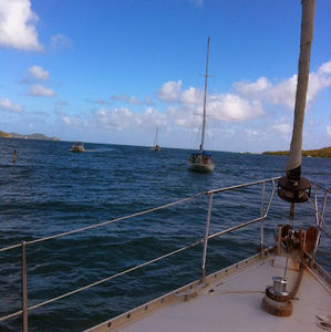 Meet your Posher, Caroline